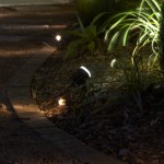 garden light