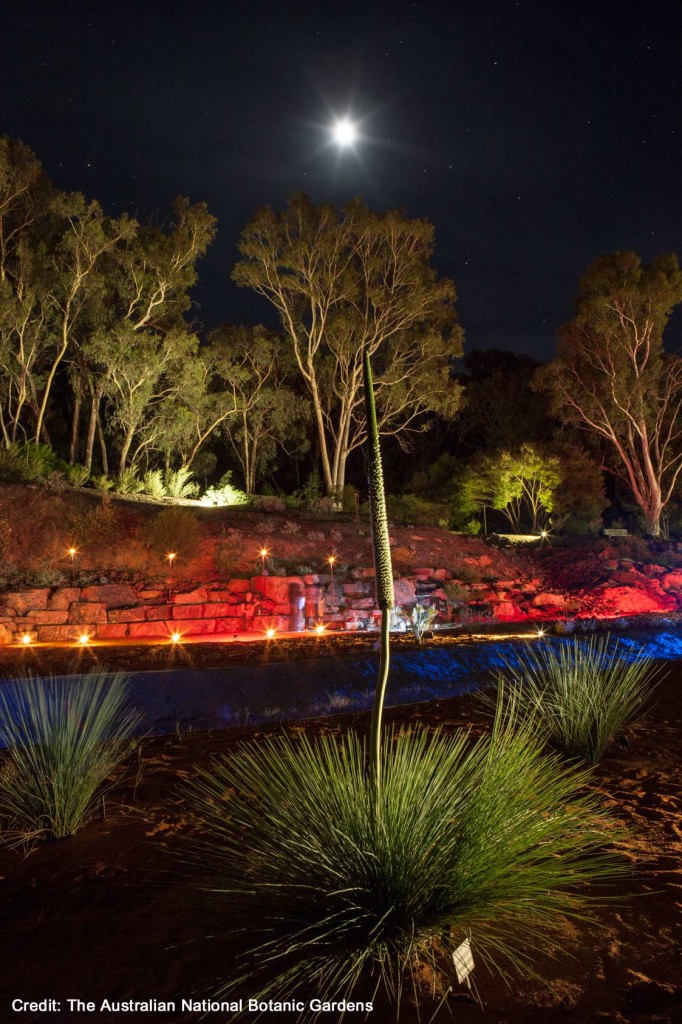 Botanic Gardens Lighting