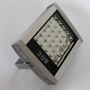 30 Watt Flood Light