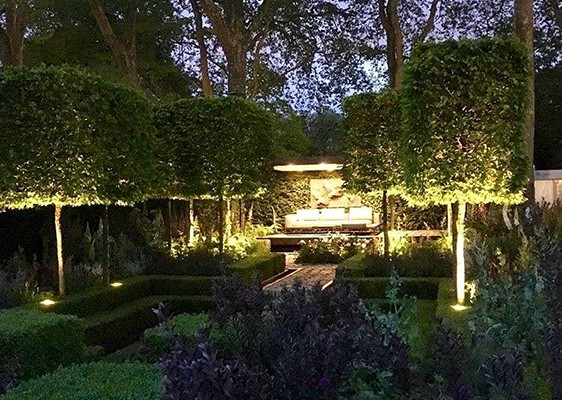 Chelsea Flower Show 2016