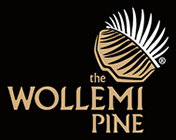 THE WOLLEMI PINE INTERNATIONAL TEAM