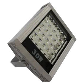 30W Flood Light